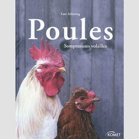 Poules somptueuses volailles