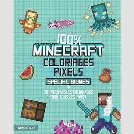 Minecraft coloriages pixels special biom