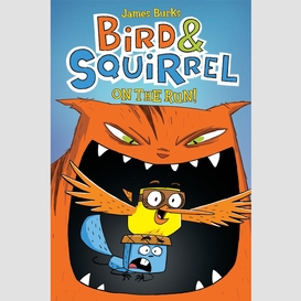 Bird & squirrel on the run!: a graphic novel (bird & squirrel #1)